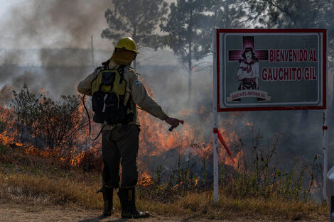 Los incendios que ya arrasaron el 9 por ciento del territorio.