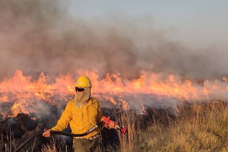 En Corrientes se mantienen activos ocho focos de incendios.