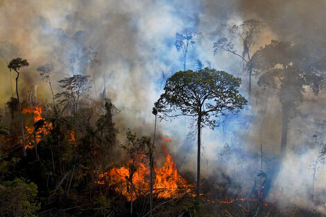 Advertencia de la ONU: "Los incendios forestales y el cambio climático se alimentan mutuamente"