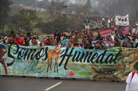 Corrientes, un bastión de la resistencia contra la ley nacional de humedales