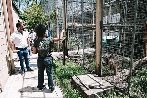 Colaborar con el plan de restauración ambiental tras los incendios  