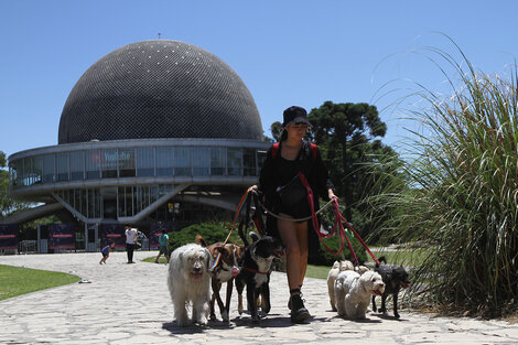 Clima en Buenos Aires: el pronóstico del tiempo para este martes 8 de marzo