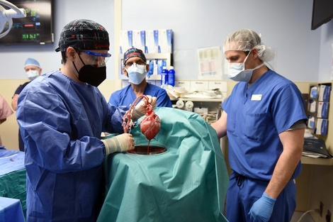 El hospital precisó que Bennet falleció el martes tras un deterioro progresivo de su salud y mientras recibía cuidados paliativos. (Fuente: AFP)