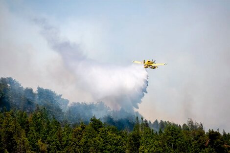 El incendio en Lago Martín, en cercanías de Bariloche, es el único activo en el país. 