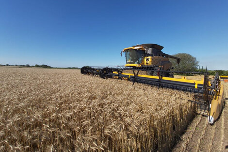 El campo ganó 2000 millones más por la guerra