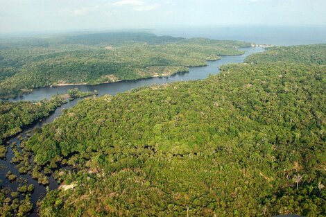 Dos nenes se perdieron 26 días en la selva amazónica y sobrevivieron