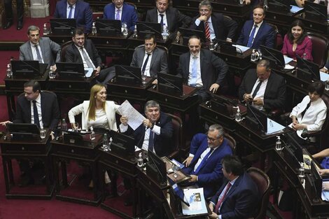 Trece senadores del bloque del Frente de Todos votaron contra el acuerdo con el FMI.