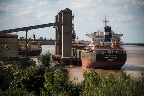 Fuerte rechazo de los exportadores a la medida. Esta vez, los productores conformes