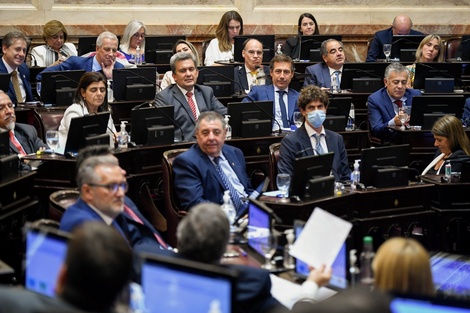 El Senado trata hoy la reforma en un plenario de comisiones.