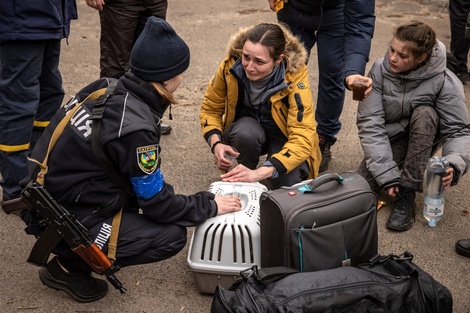 Un enviado especial en los barrios de Kiev que Ucrania dice que liberó: "Echamos a los rusos pero no controlamos la zona"