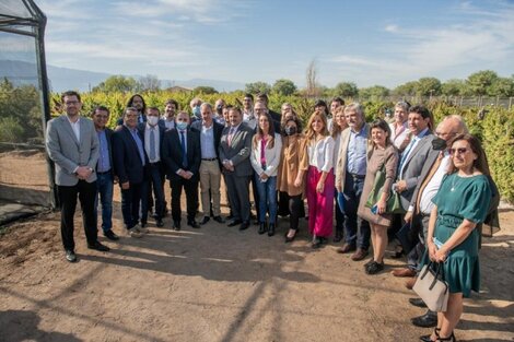 Vizzoti, Filmus y Kulfas visitaron el proyecto riojano de cannabis medicinal 