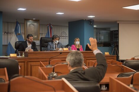 El Senado aprobó los acuerdos con las mineras Galaxy y Liex