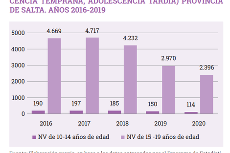 Salta Capital y el norte provincial concentran la mayor cantidad de niñas gestantes 