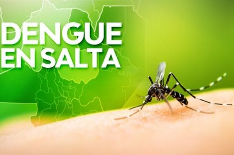 Se acumulan 108 casos de dengue en Salta 