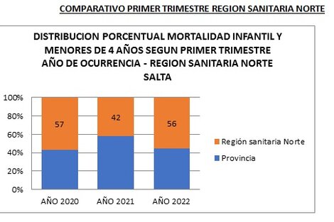 En tres meses fallecieron 44 chicos en el  norte de Salta 