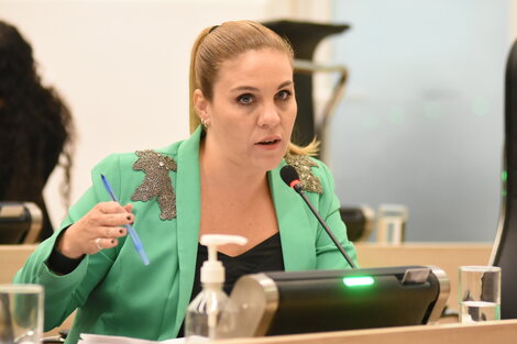 Gigliani fue la autora de la norma en 2016 que aún no se reglamentó.