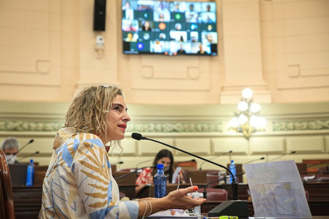 La diputada provincial Mónica Peralta.