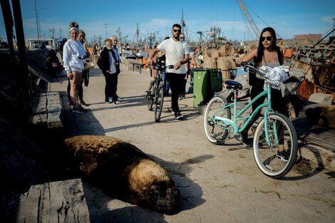 Otro fin de semana record para el turismo