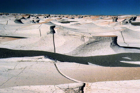 Catamarca: multados por dañar una reserva natural