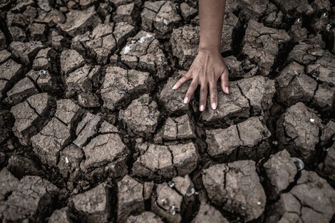 22 de abril, Día de la Tierra: una advertencia sobre la crisis socioambiental que acelera la destrucción del planeta 