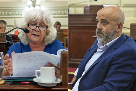 Los diputados Palo Oliver y Matilde Bruera piden derogar la ley.