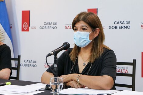 Detectaron el primer caso de dengue en Salta Capital