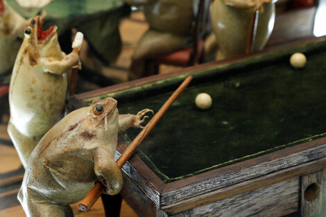 Las ranas de Girondo