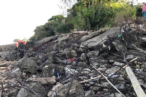 Costanera Sur: alertan por el estado de "abandono" de la Reserva Ecológica