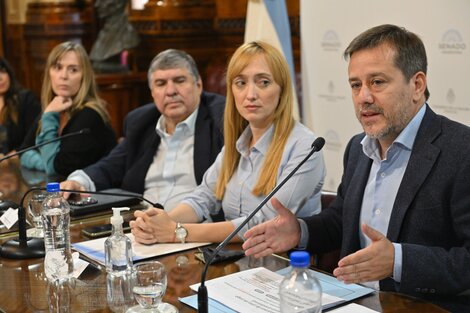 Los senadores Recalde, Fernández Sagasti, Mayans y Di Tullio presentaron el proyecto.