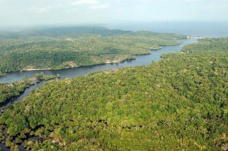 Abril marcó un nuevo récord de deforestación en la Amazonia brasileña 