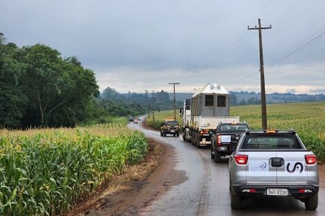 Las elefantas Pocha y Guillermina ya están en Brasil y este jueves llegarán al santuario donde vivirán en libertad