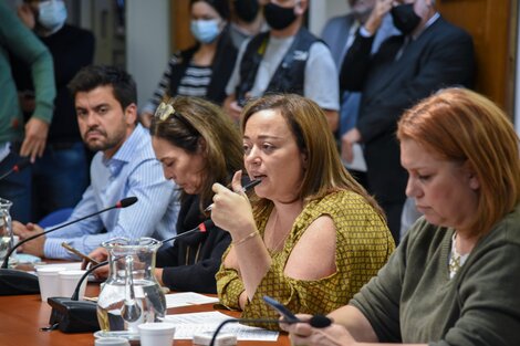 Cecilia Moreau presidió el encuentro en Diputados por la Ley de Alquileres