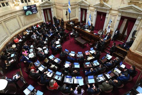 El Senado aprobó el proyecto para pagar la deuda con los dólares fugados