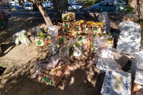 Alimentos para el buen vivir en Salta