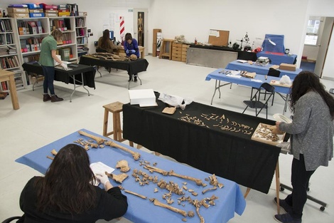 En el Equipo Argentino de Antropología Forense trabajan antropólogos, arqueólogos, médicos, biólogos y genetistas. (Fuente: Leandro Teysseire)