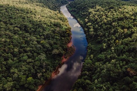 Fue como retribución a la reducción en la deforestación en el Parque Chaqueño, la Selva Tucumano Boliviana, en el Espinal y la Selva Misionera. 