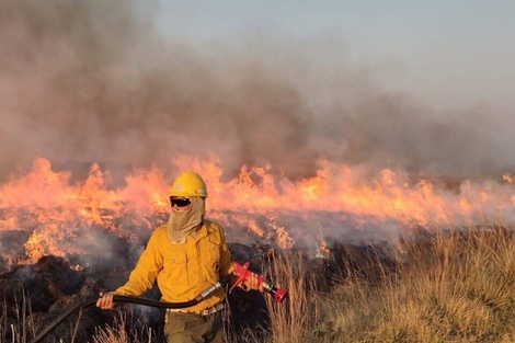 Productores de yerba de Misiones y Corrientes alertan sobre un posible  aumento de precios luego de los incendios y la sequía 