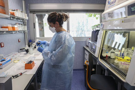 En España lograron el borrador de la secuencia completa del virus de la viruela símica.