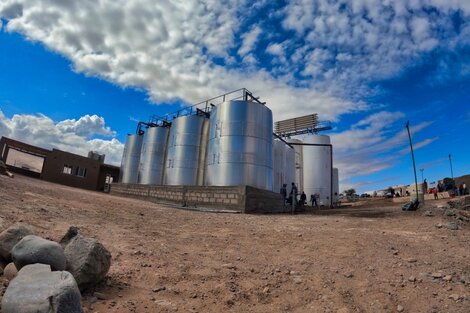 Catamarca superó a Mendoza y San Juan en el precio de la uva 