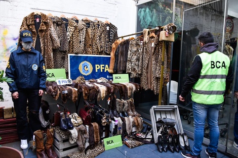 El Ministerio de Ambiente presentó una denuncia penal por la venta de tapados de pieles de animales silvestres en un local del barrio porteño de Recoleta