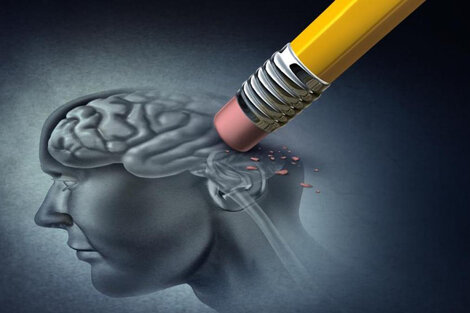 ¿Qué pasa en el cerebro cuando olvidamos las contraseñas?