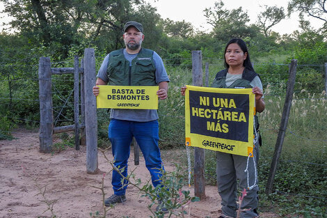 Afirman que la Sociedad Rural quiere desmontar el 50% de sus fincas