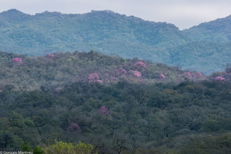 Imagen tomada en el dique de Sumampa.