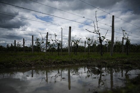 Francia: un muerto, 15 heridos y miles de personas sin luz debido a fuertes tormentas