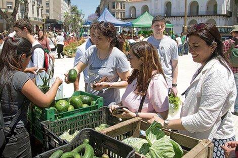 Verdurazo por la Ley de Acceso a la Tierra