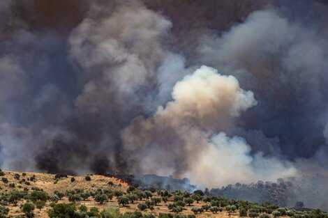 Incendio forestal en la finca Zurraquin dentro del término municipal de Toledo capital.