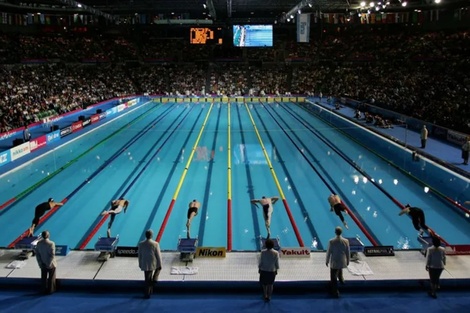 La Federación Internacional de Natación margina a atletas transexuales de competencias femeninas