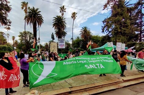 En Salta sólo garantizan interrupciones legales de embarazo hasta la semana 20