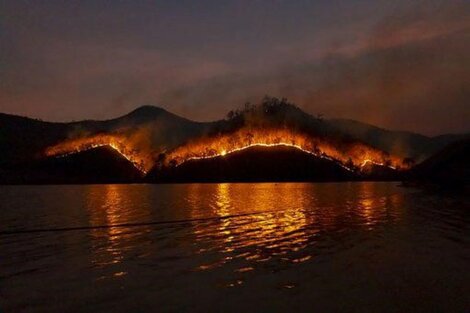 Los incendios forestales son una amenaza para la vida en los océanos porque pueden causar la mortandad de especies. (Foto: Pixabay)