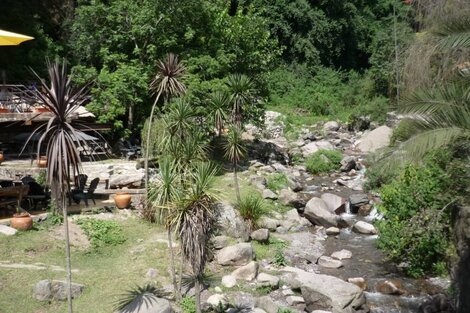 San Lorenzo: vecinos reclaman protección de los bosques nativos